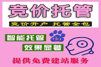 探索百度推广运营的奥秘：提升ROI的技巧